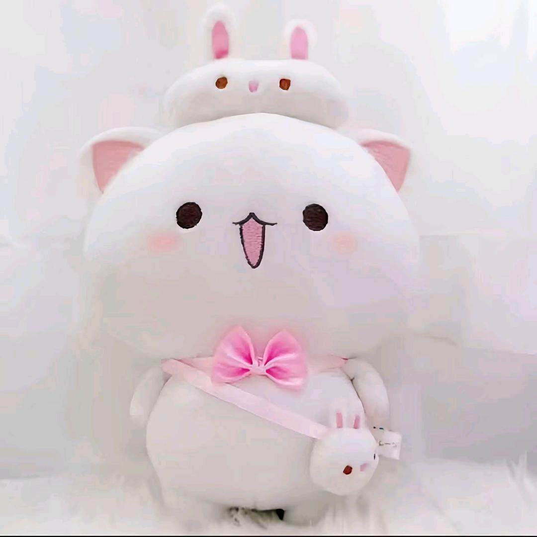 袁