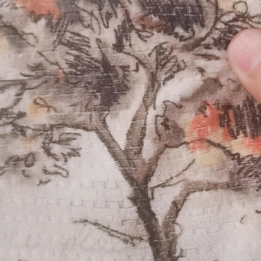 青春颂扬
