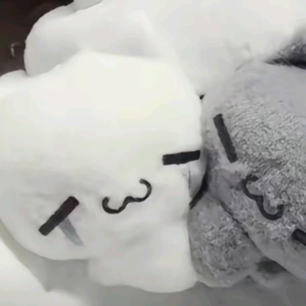 粥粥-