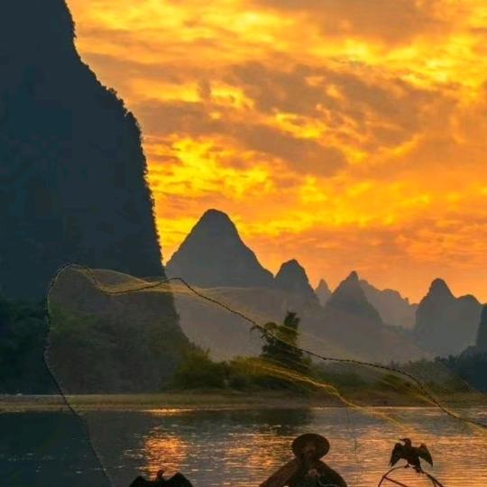 车向阳