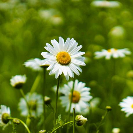 宋你一颗小星星⭐️