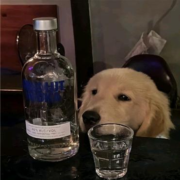 hdh