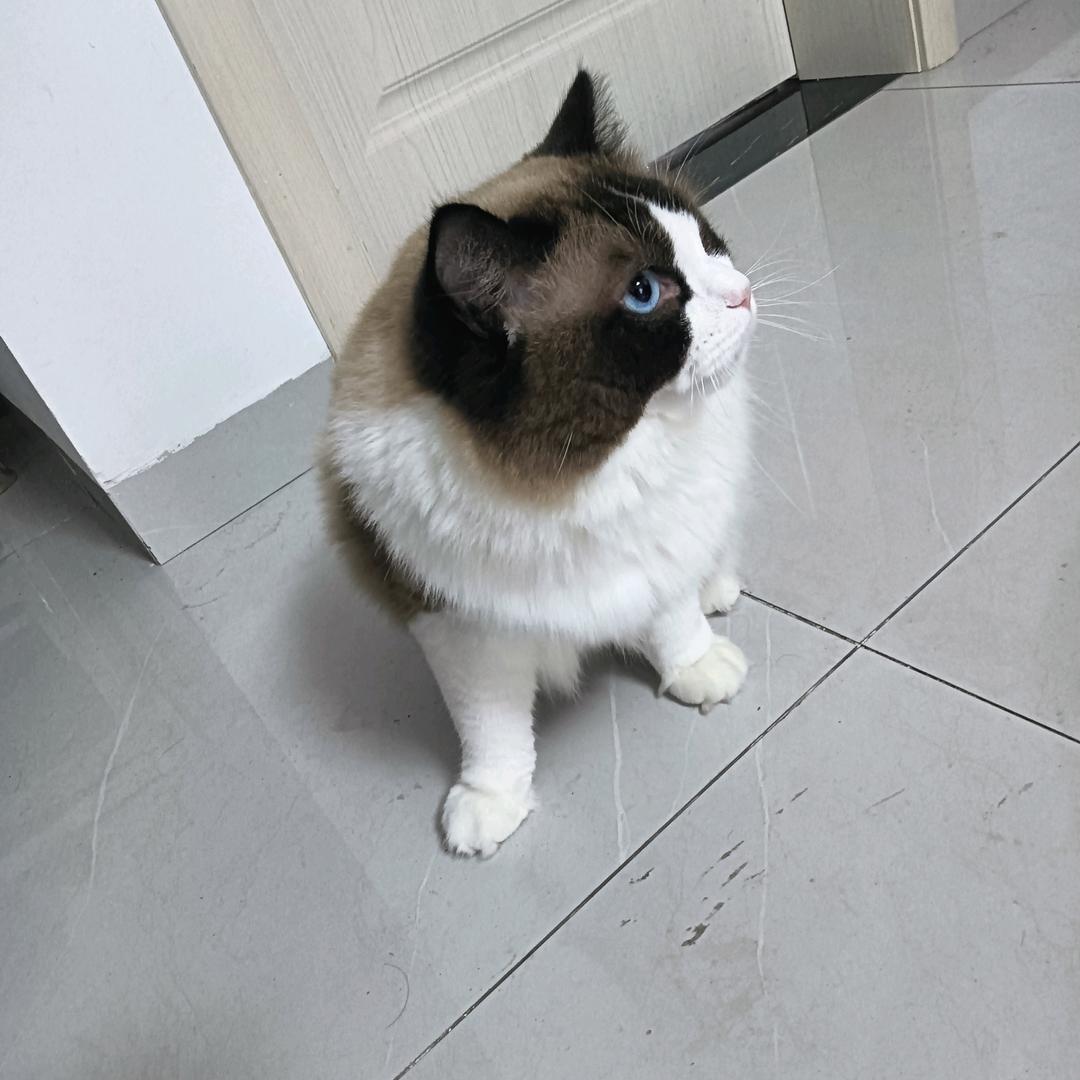 💫小菲姐