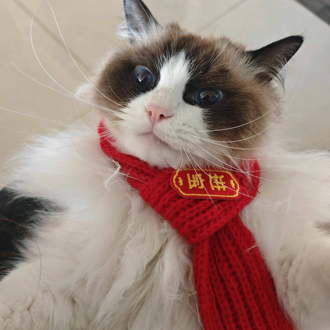 子佩佩喵
