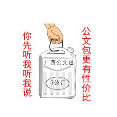 公文包