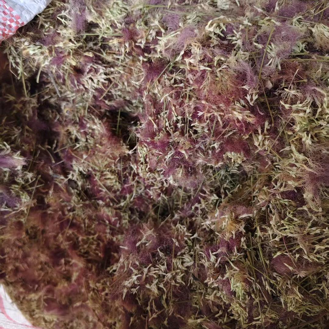 知足常乐