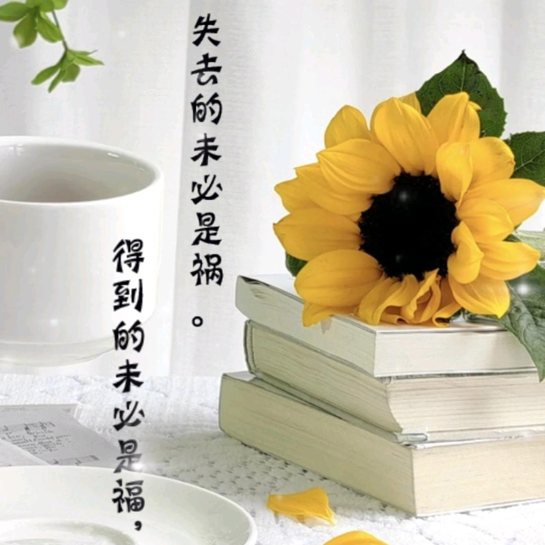 凤舞夕颜