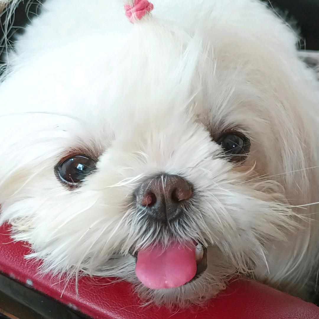 小妮妮睡不醒🩰