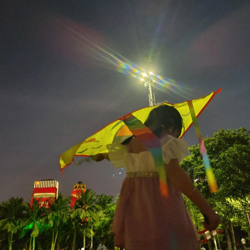 🌸彼岸花开🌸