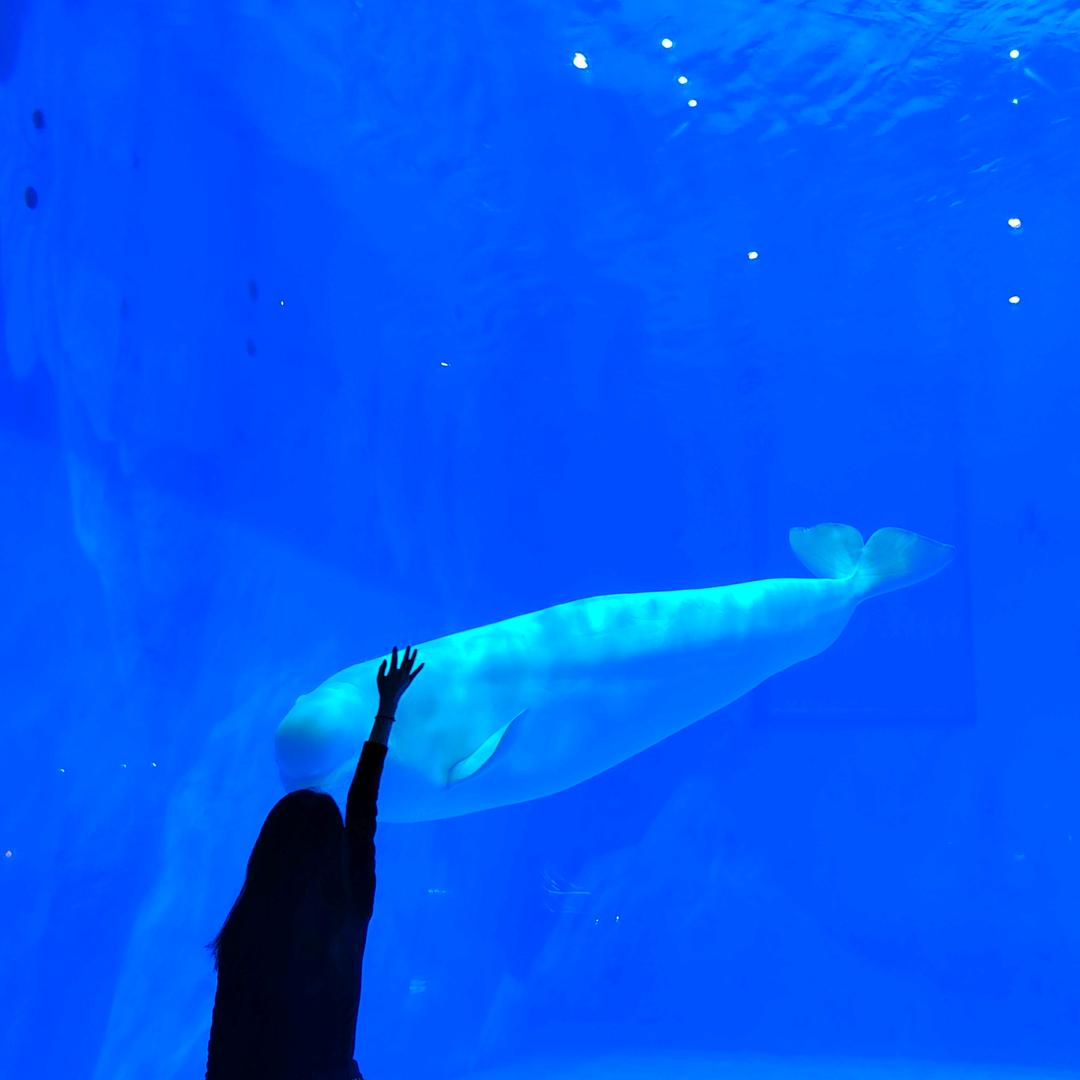 漫漫✯ᶜ