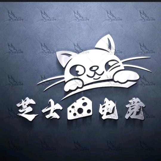 芝士电竞