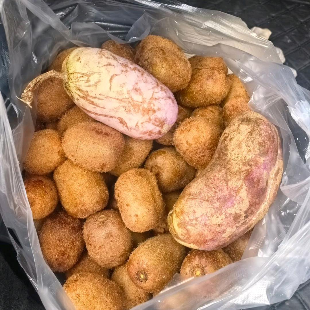 小东砼学