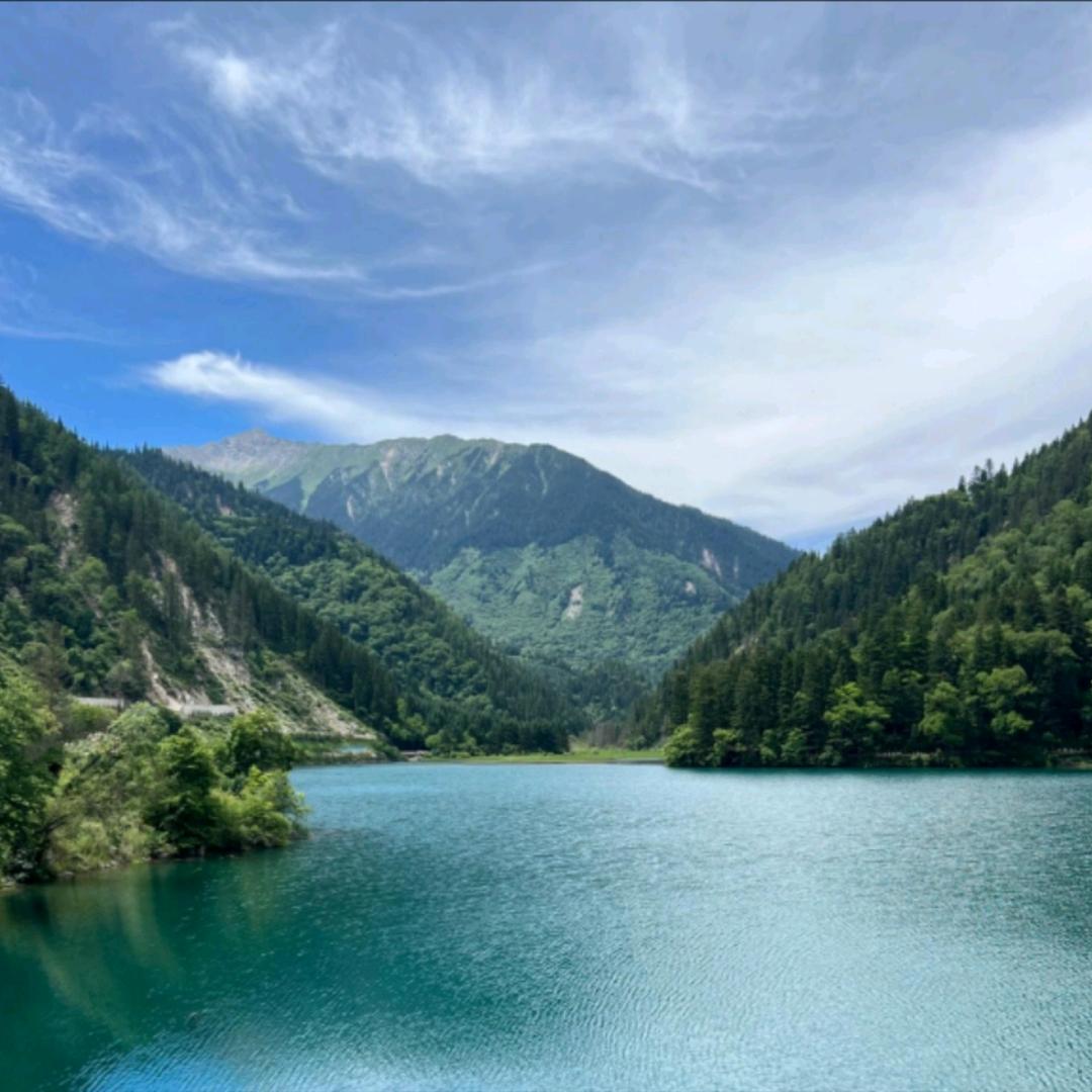 花开富贵财神到