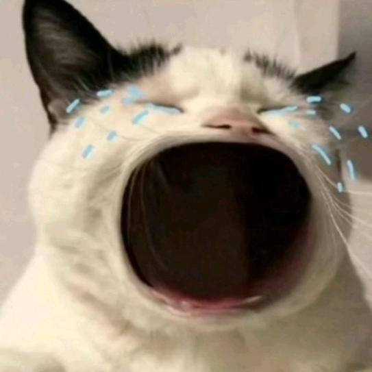 一条小肥鱼