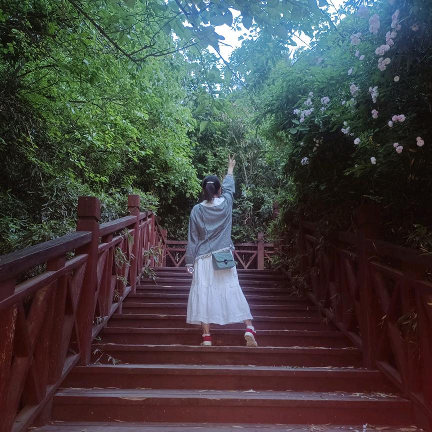 YJ高贵的画板