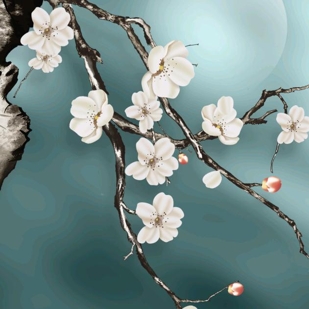 西泽龙