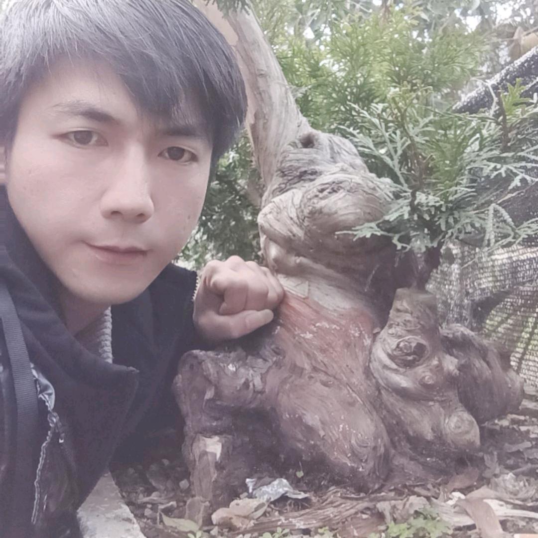 贵州小杨哥