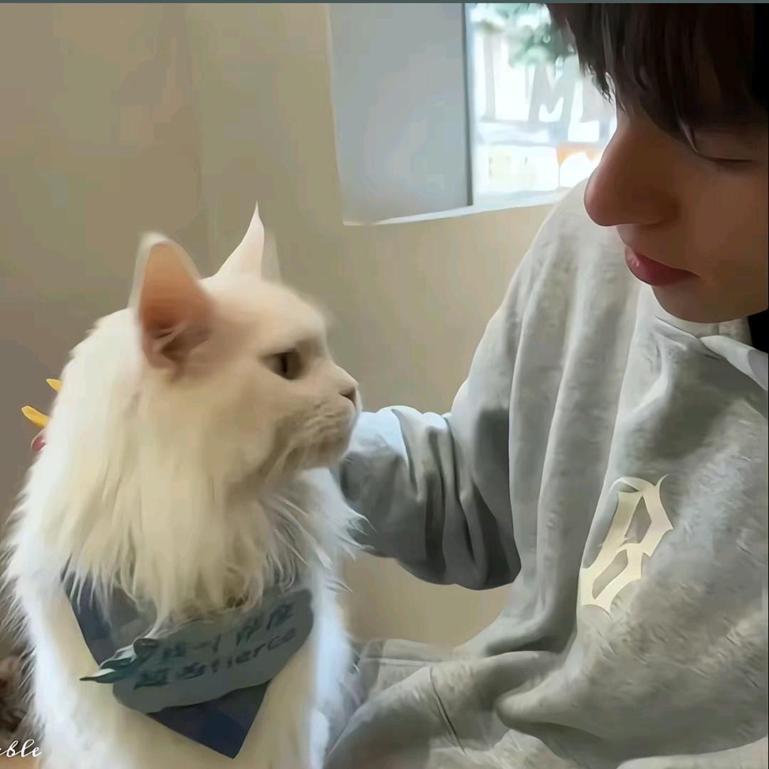 雨中尘埃