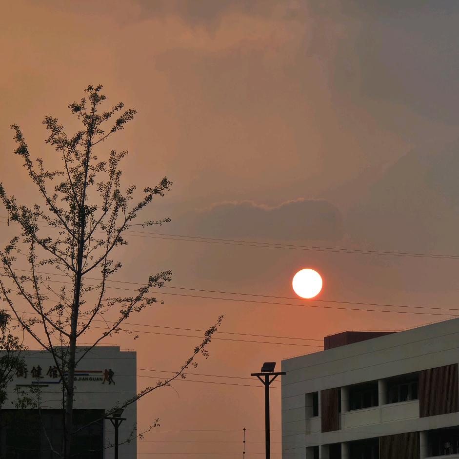 牛马小林（努力搬砖）