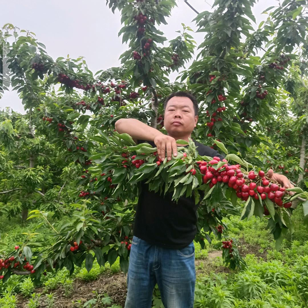 聊城市茌平区农惠苗圃农场的小店个体店