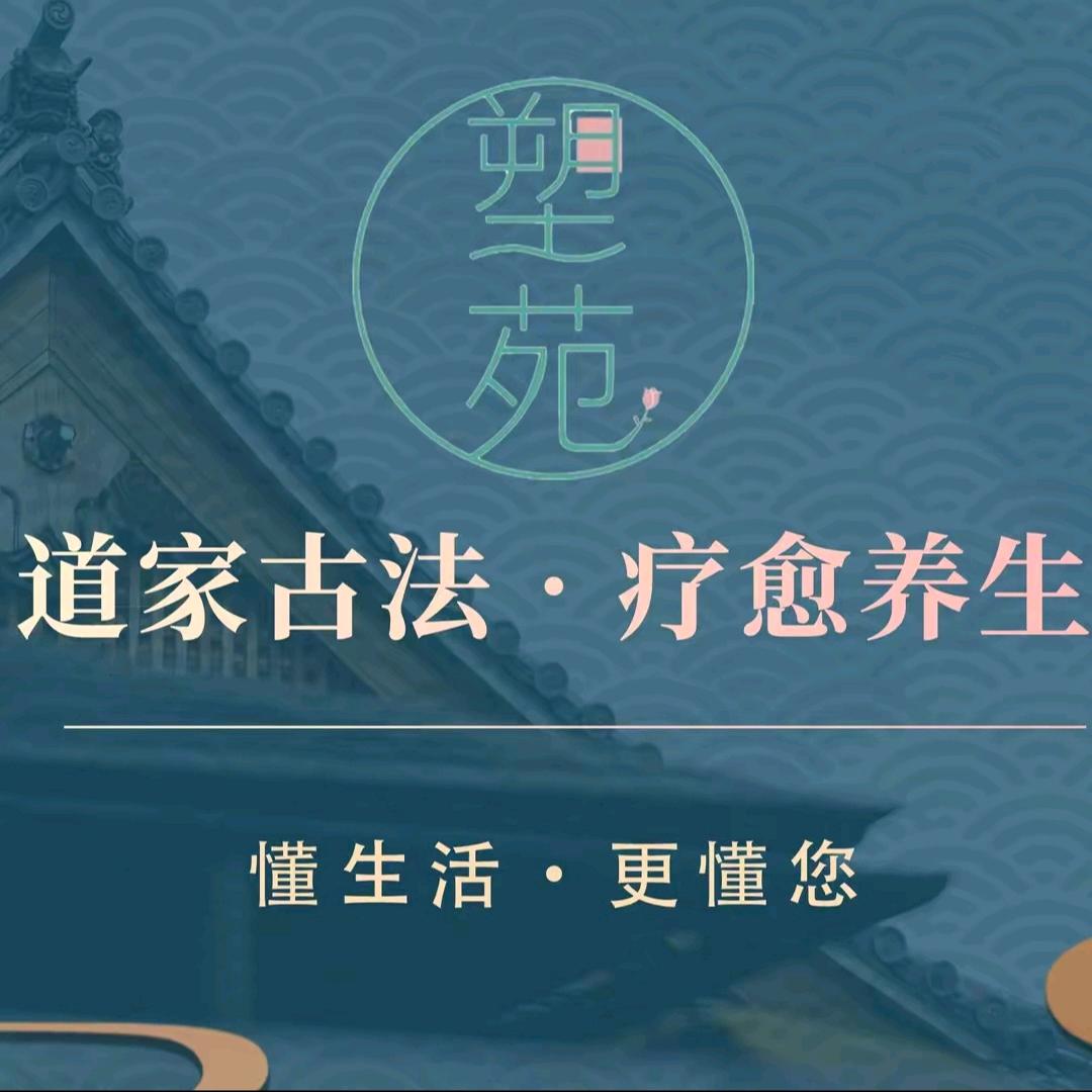塑苑慧慧