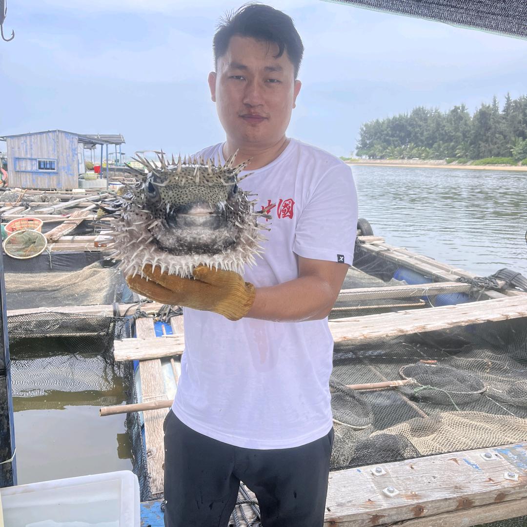 大梁海鲜-刺鲍鱼