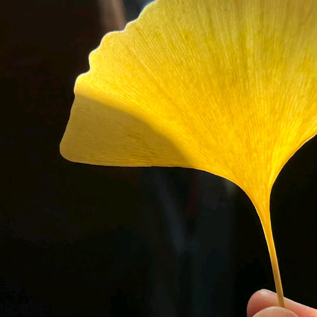 热爱学习（三峡医专版）