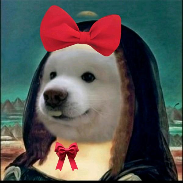 ¹顿吃¹⁰个汉堡🍔