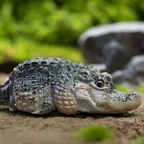 微微一笑倾不了城