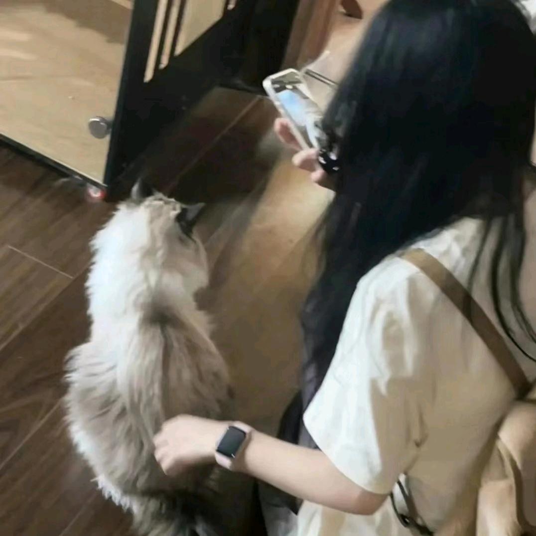 泽希🍐ᴸⁱ㊗️白黎生日快乐天天开心