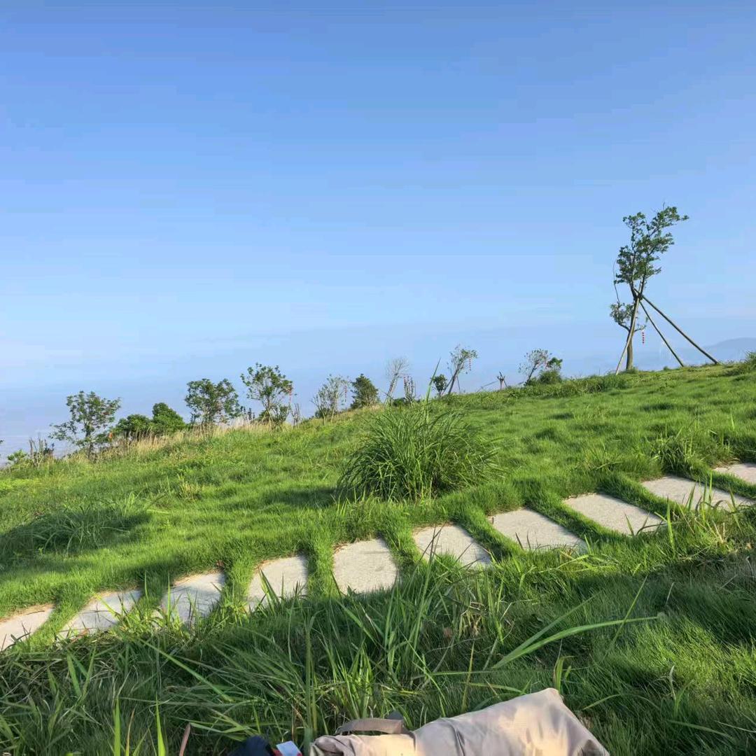小丽
