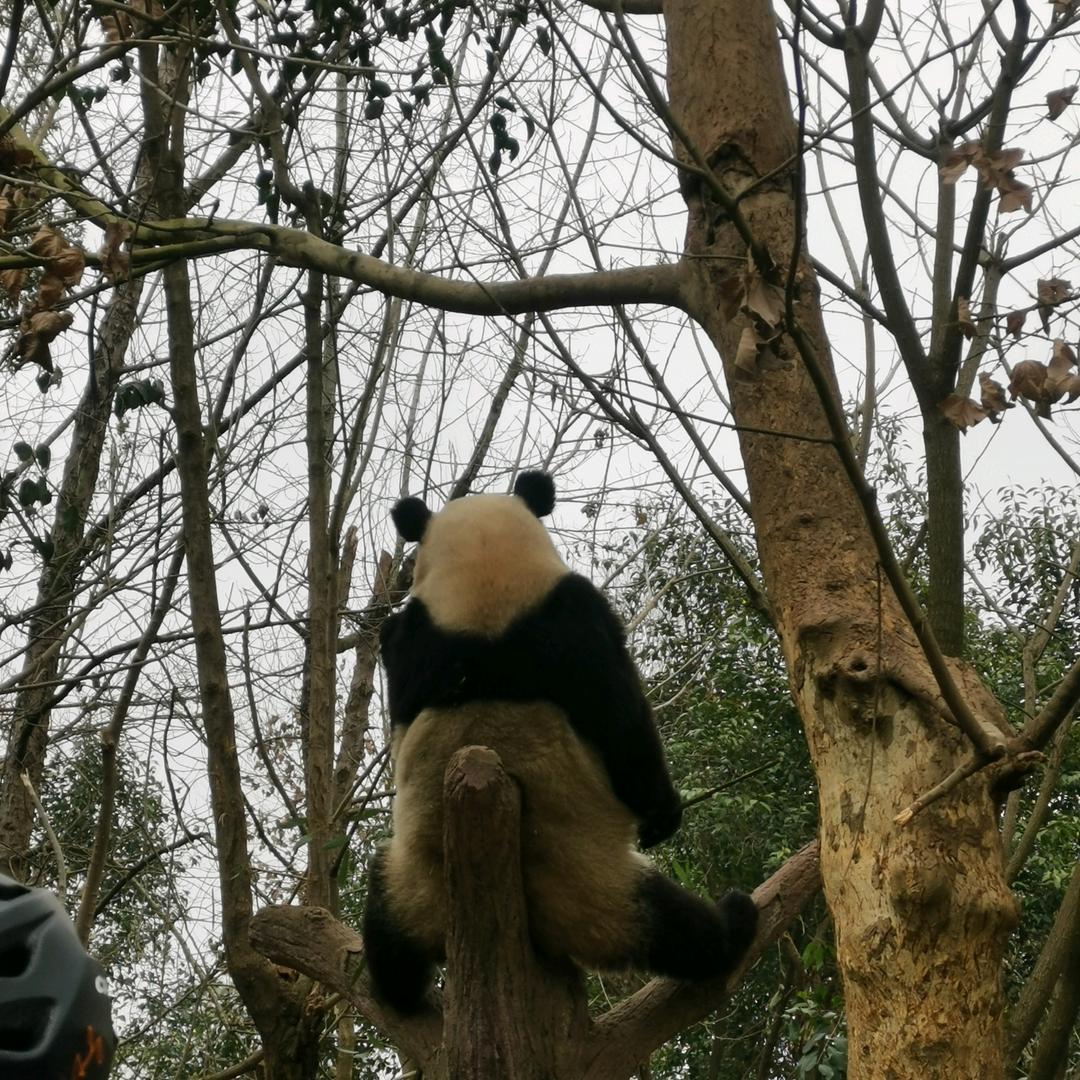 labilabuibui👻👻👻