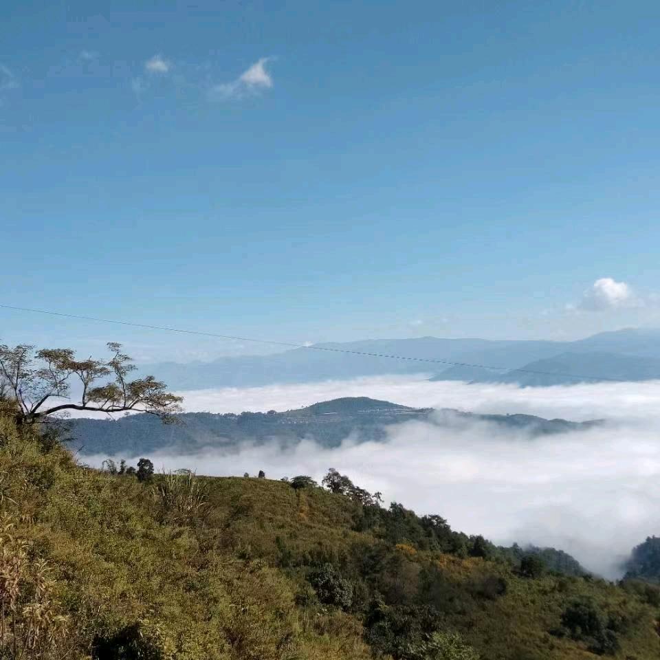 欧阳修（江西）酒业戴