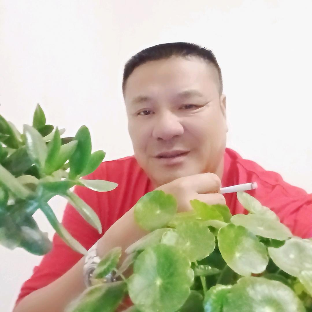 感恩（王屏）业余直播卿天（晚8点）