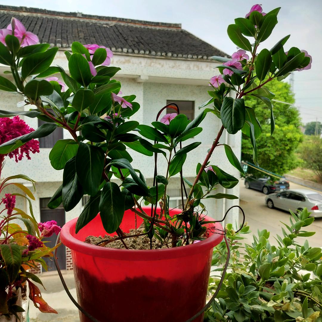亲测好物