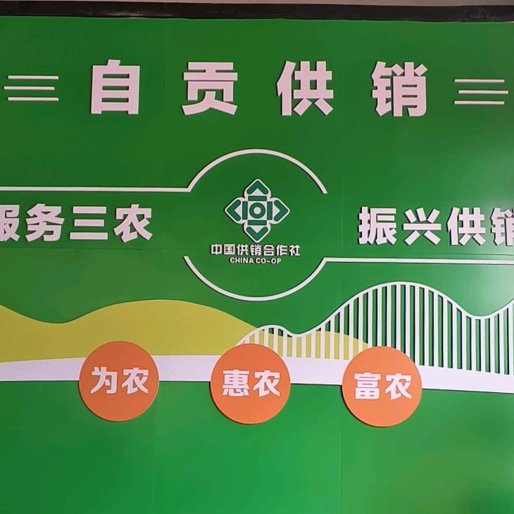 自贡供销—供投农业荣县店（小小）