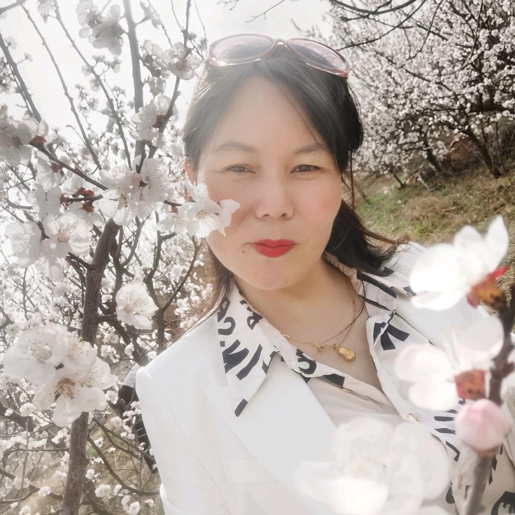 红姐🌷