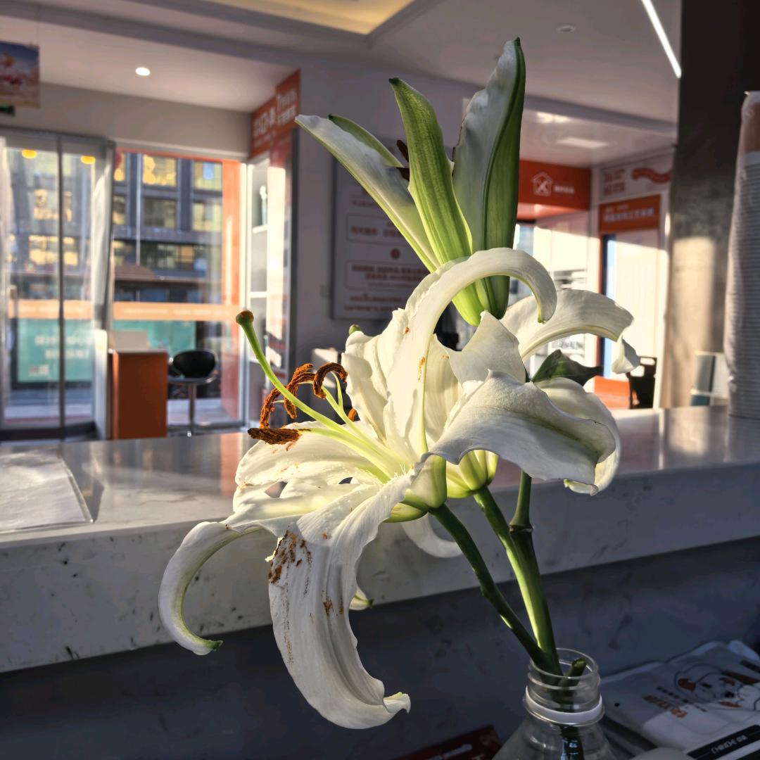 桑乐轻装轻改中心店