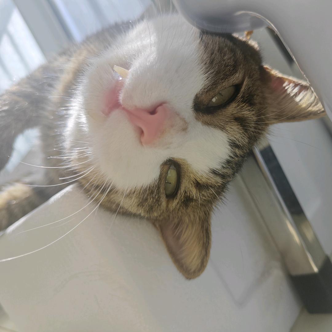 可爱可恨都包揽--