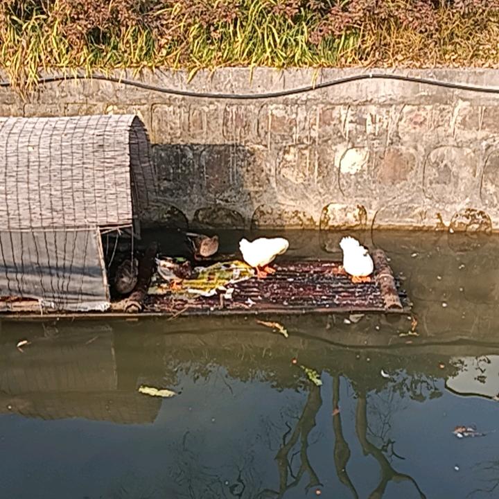 开心❤️