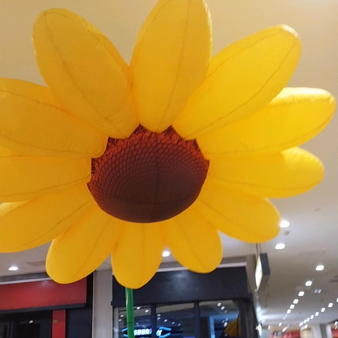 早晨的彩虹