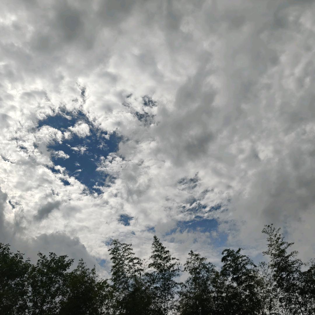 ✨L小任ᨶ႒ᩚ性ᵥ̶ₑ̶ᩚ: ᥫᩣ໌✨