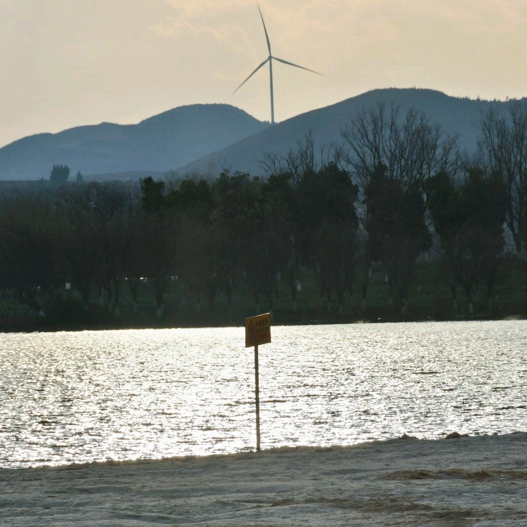 给所有人喂一把折耳根