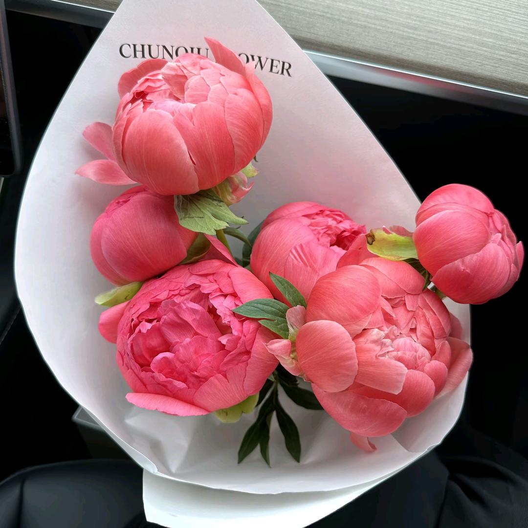 ☘️步步=生花☘️