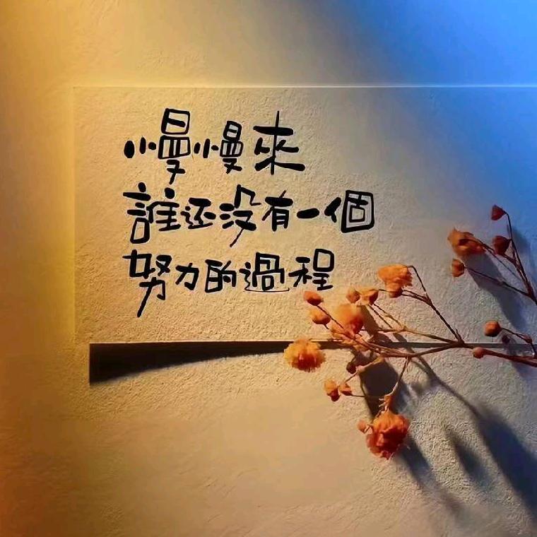 小刘vlog
