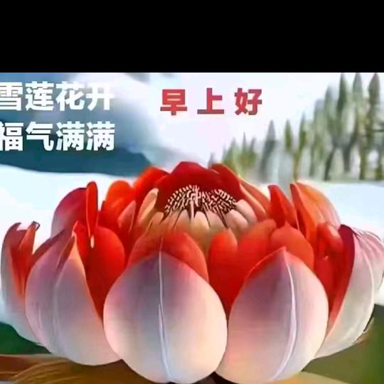 人生有多少个十年？？？？？？