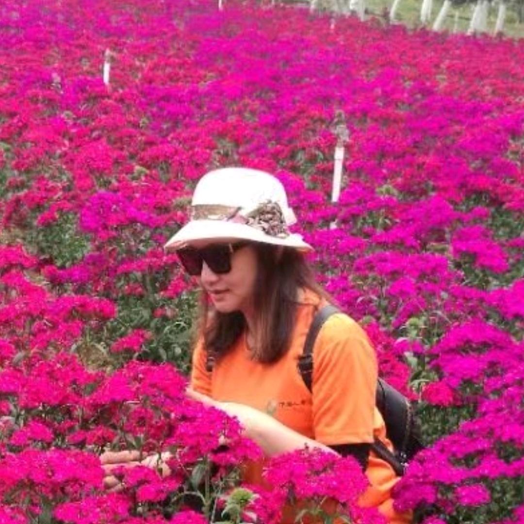 AA芯片分销Mary