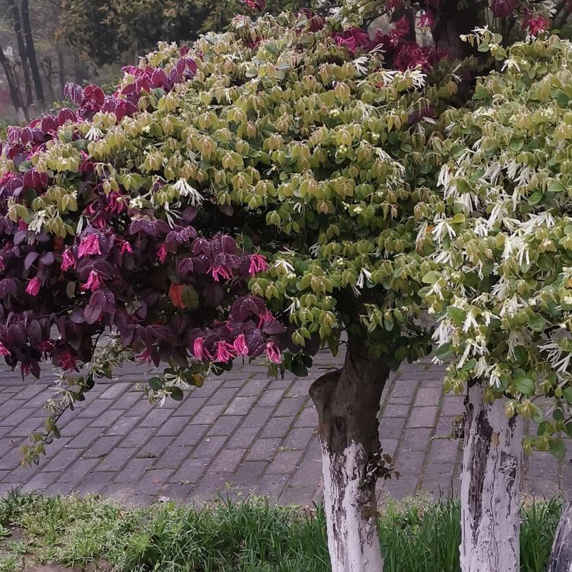 善待別人，等於善待自己