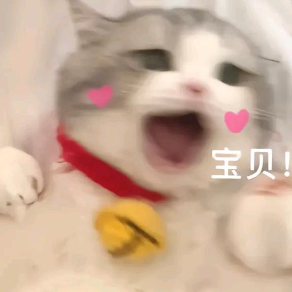 情宇