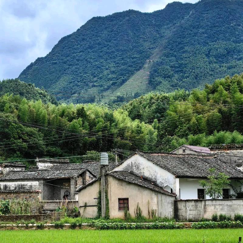 当路灯断了电